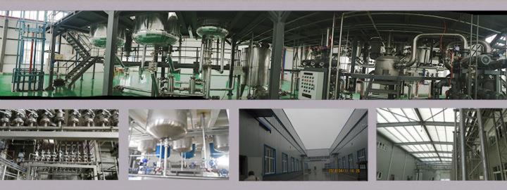 2468650128_809304087.jpg