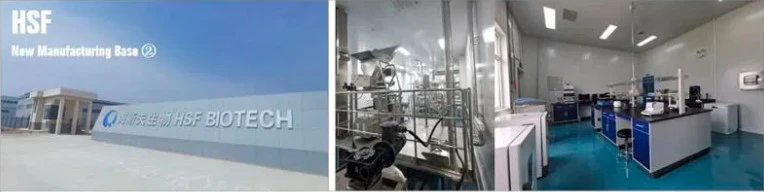 factory