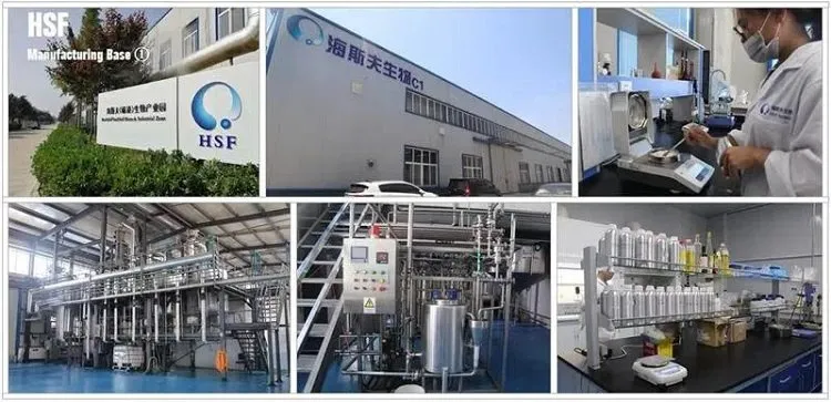 HSF Manufacturing Base