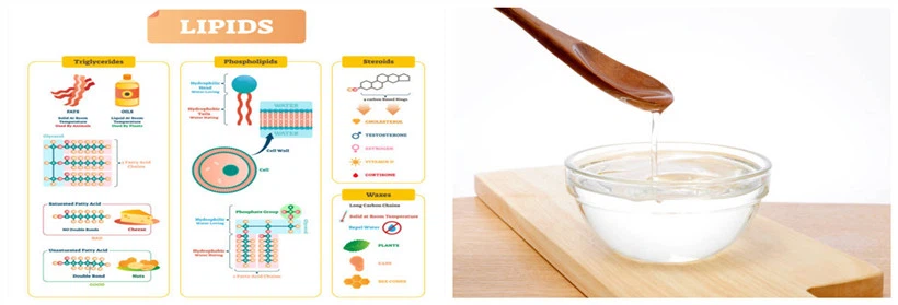 istockphoto-1061597532-612x612 istockphoto-1061597532-612x612