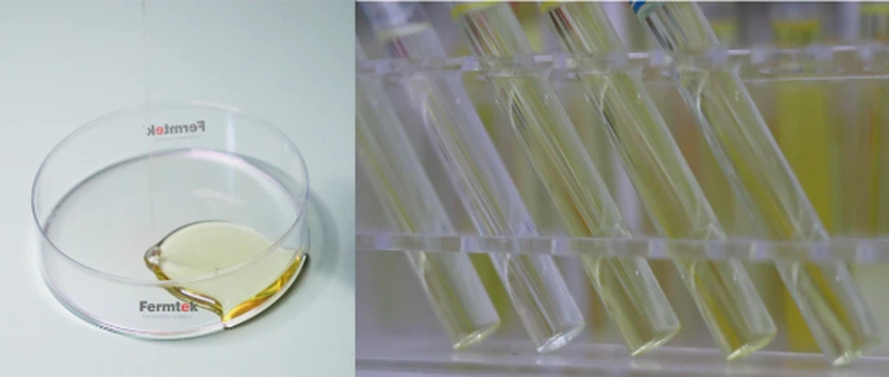 info-568-241 info-568-241