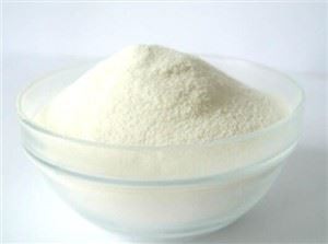 Medium Chain Triglyceride Pulver