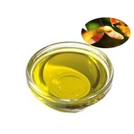 Acer Trunctum Fröolja